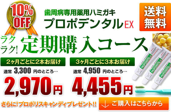 プロポデンタルEX 80ｇ 12本セット ハブラシセット 3セット歯磨き粉 プロポリス配合薬用歯みがき 口臭ケア 40％OFFの激安セール