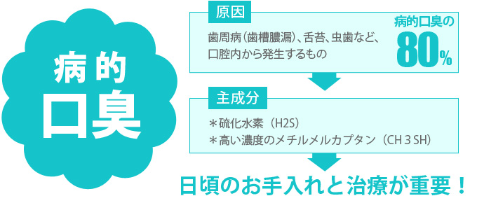 あなたは大丈夫 不快な口臭 その原因と対策 歯周病専用歯磨き粉のプロポリス健康増進会