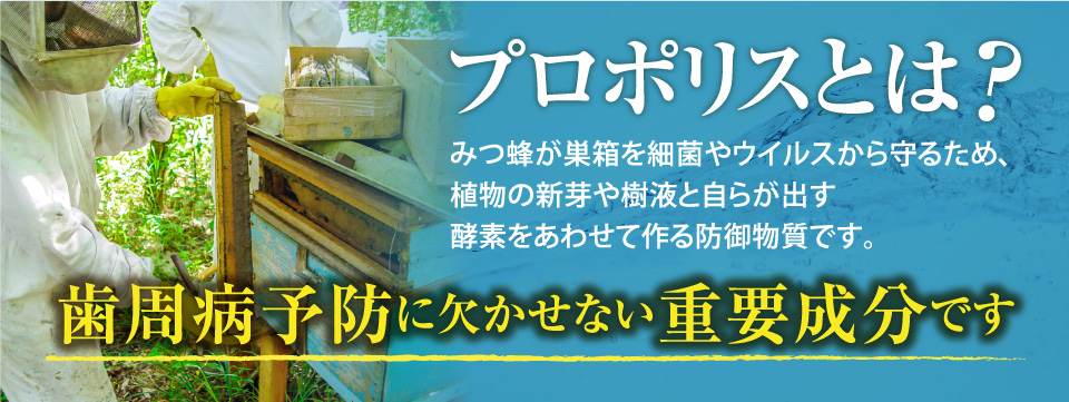 歯周病予防に欠かせない重要成分です