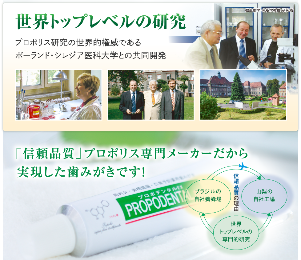 世界トップレベルの研究