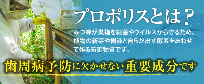 歯周病予防に欠かせない重要成分です