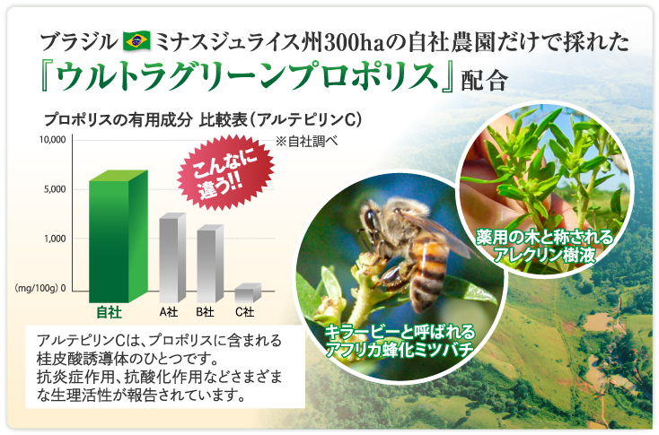 『ウルトラグリーンプロポリス』