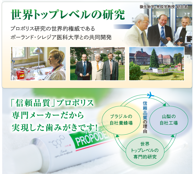 世界トップレベルの研究