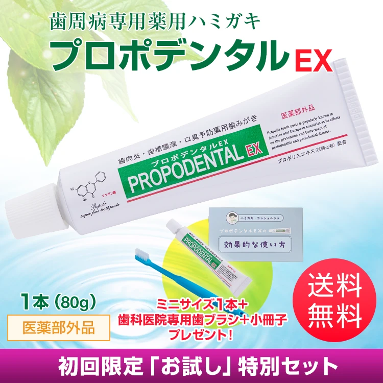 誕生日プレゼント ex_first.webp その他