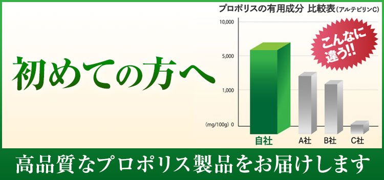 初めての方へ