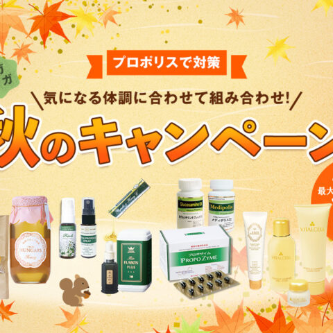 【2025年12月19日まで】秋のキャンペーン